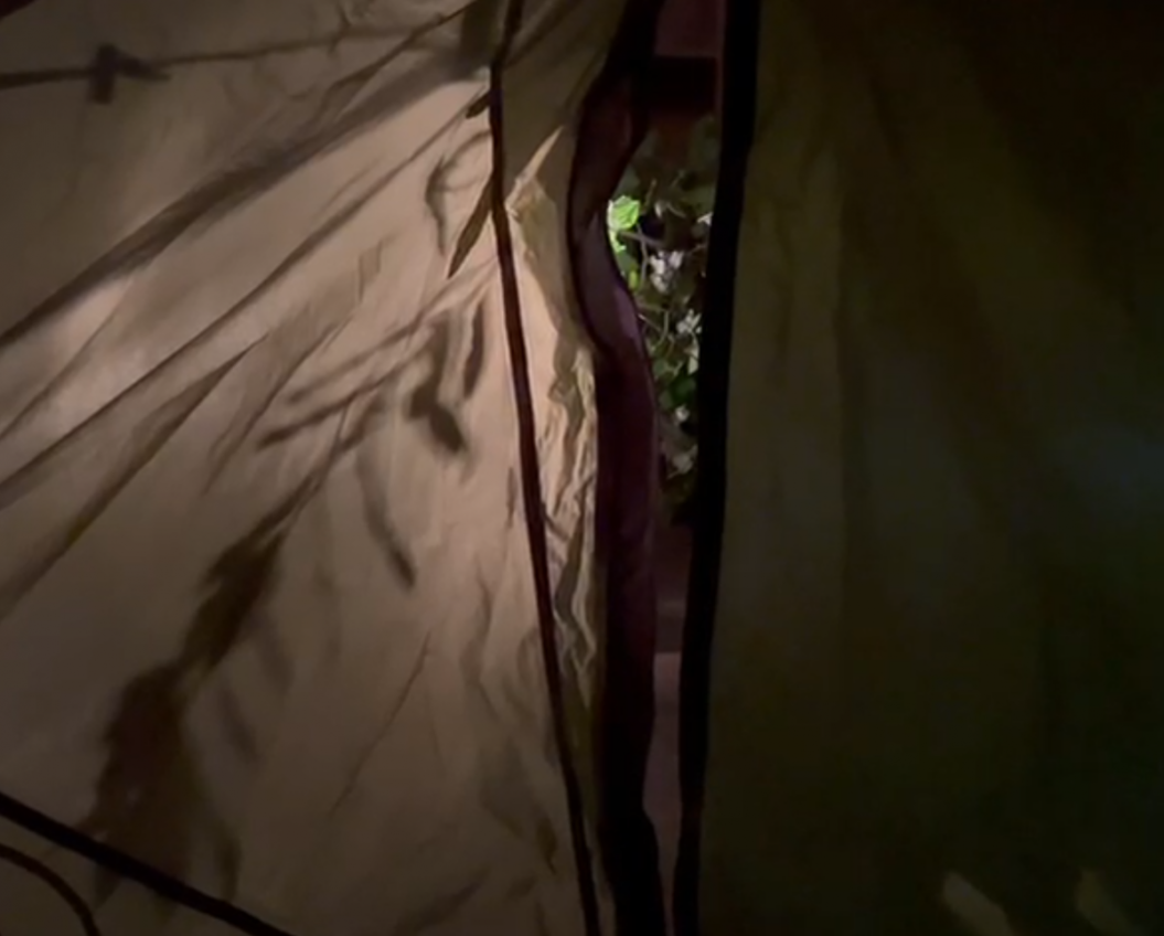 Nuit d&rsquo;&eacute;t&eacute;